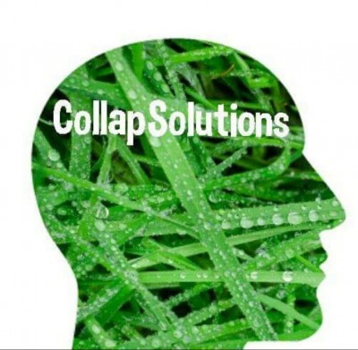 CollapSolutions tête